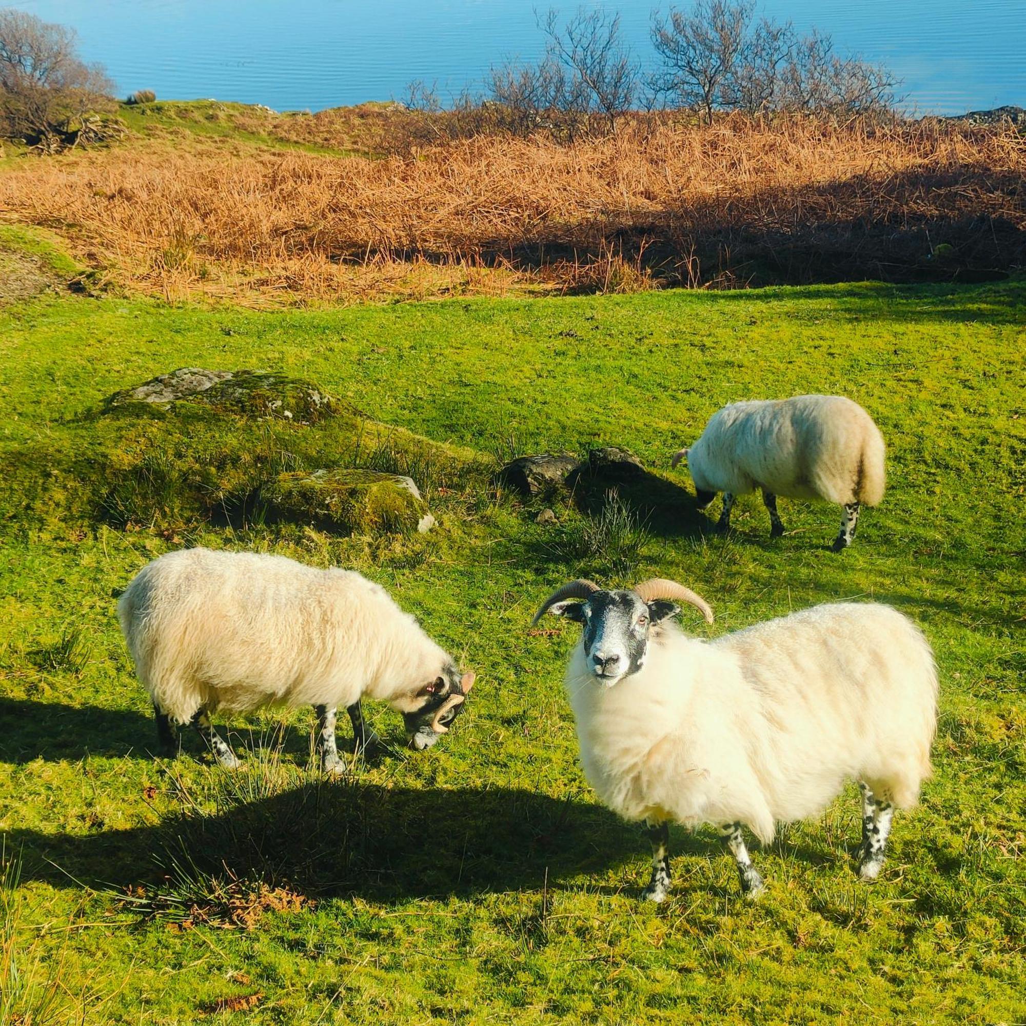 Kintyre Caravan Portree Dış mekan fotoğraf