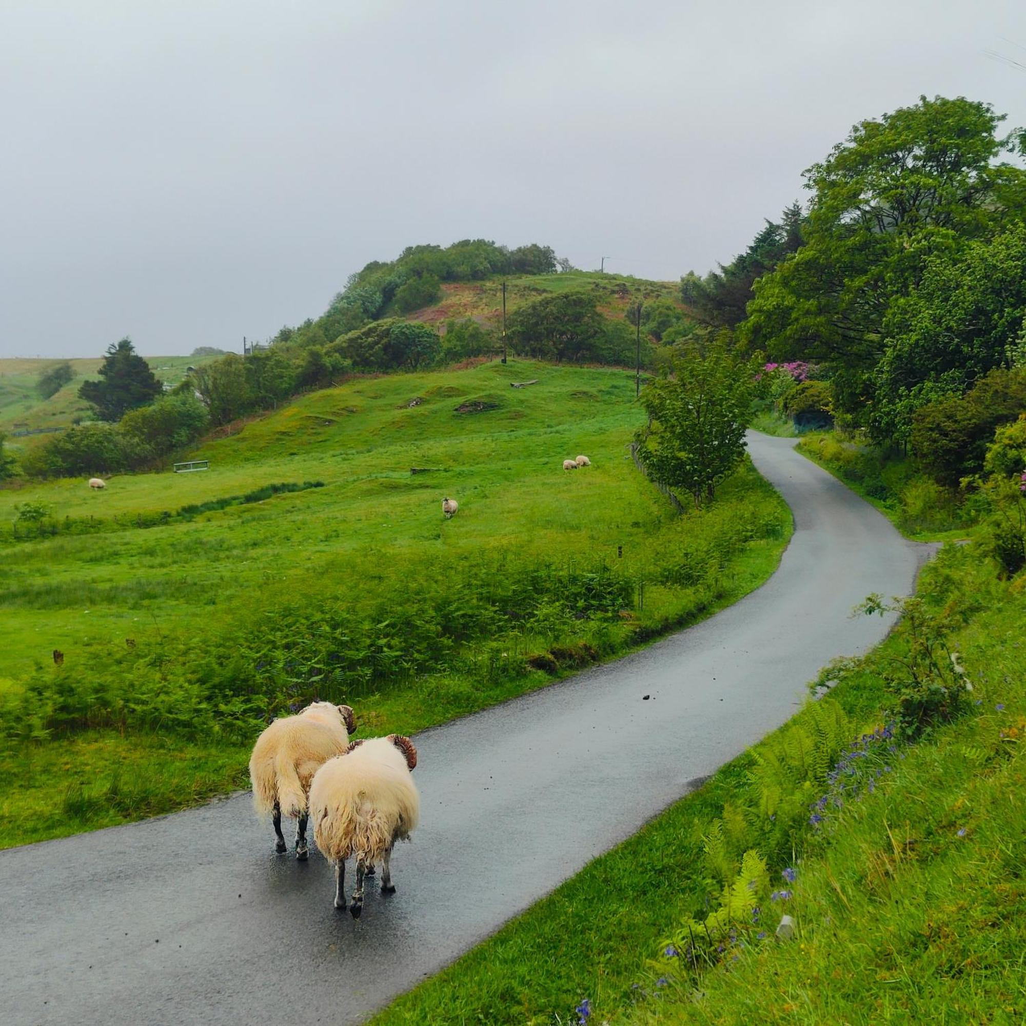 Kintyre Caravan Portree Dış mekan fotoğraf