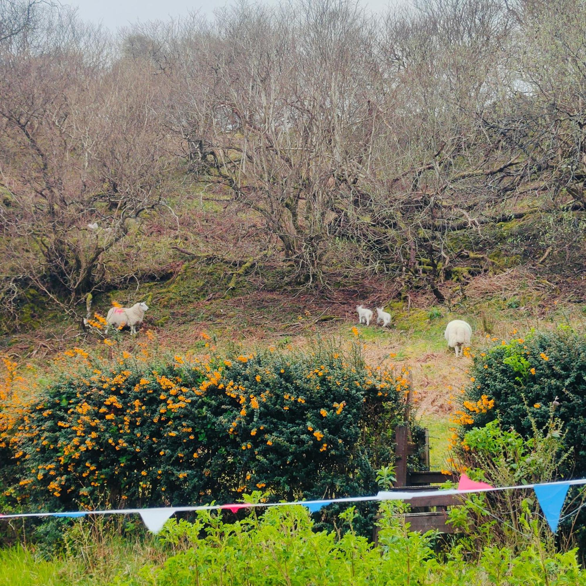 Kintyre Caravan Portree Dış mekan fotoğraf